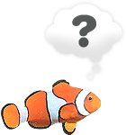Peixe palha�o